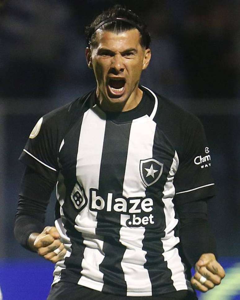 De virada, o Botafogo bateu o Avaí e se recuperou no Brasileirão.