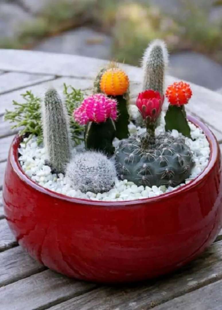 11. Vaso vermelho com arranjos de suculentas e cactos. Fonte &ndash; HGTV