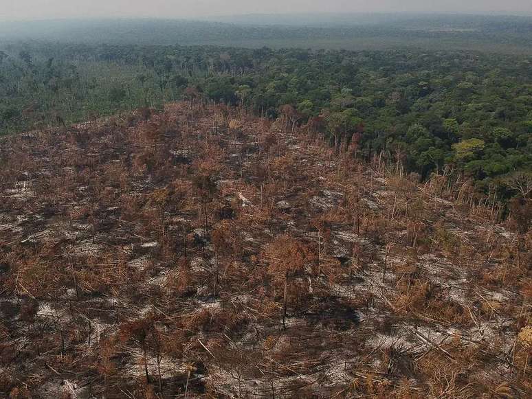 Área de desmatamento e queimada no município de Apuí, Amazonas (Imagem: Bruno Kelly/Amazônia Real/Wikimedia Commons)