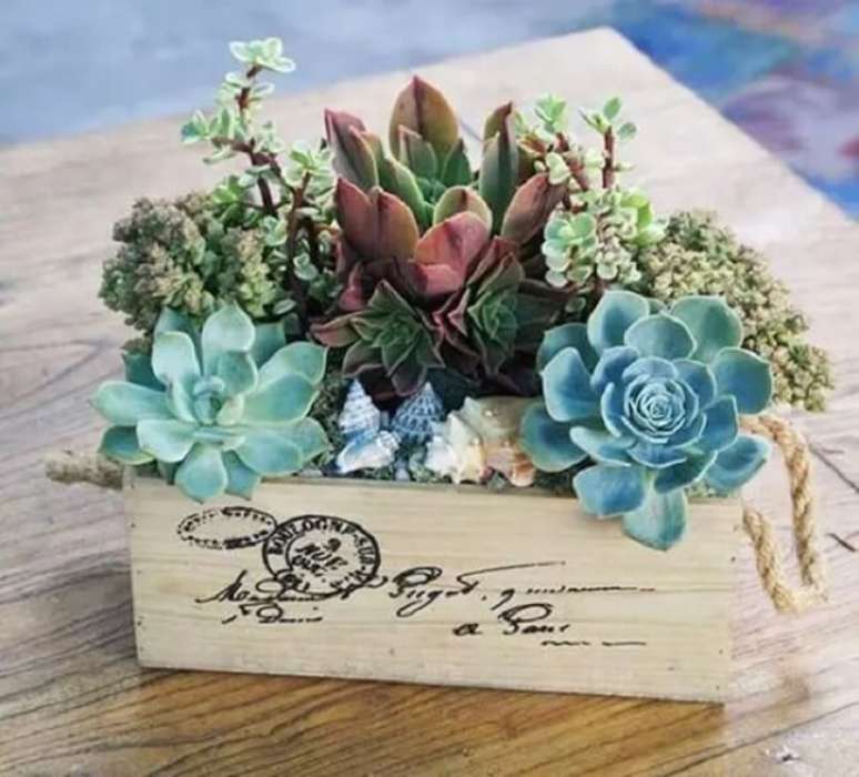 43. Arranjos de suculentas e cactos cultivados em vaso de madeira. Fonte &ndash; Casa e Festa