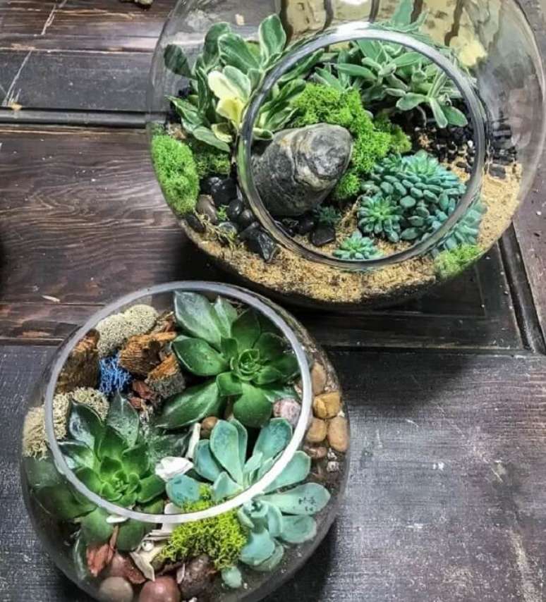 6. Arranjos de suculentas em forma de terr&aacute;rios. Fonte &ndash; Tudo Jardim