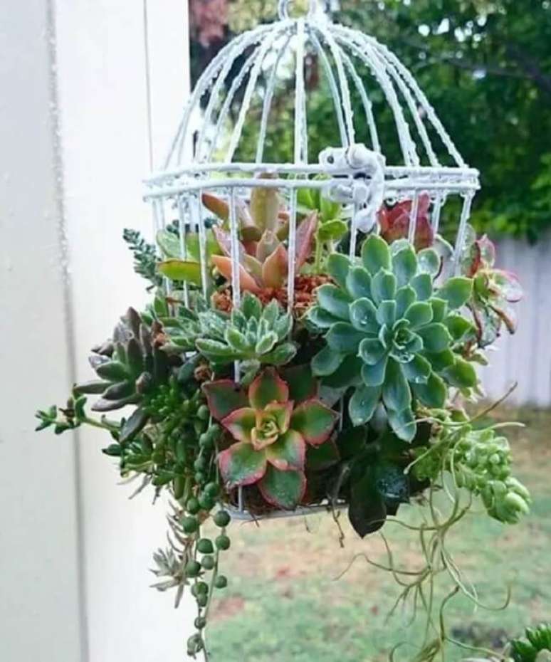 35. Arranjos de suculentas feitos em gaiolas decorativas. Fonte &Aacute;urea Incorporadora