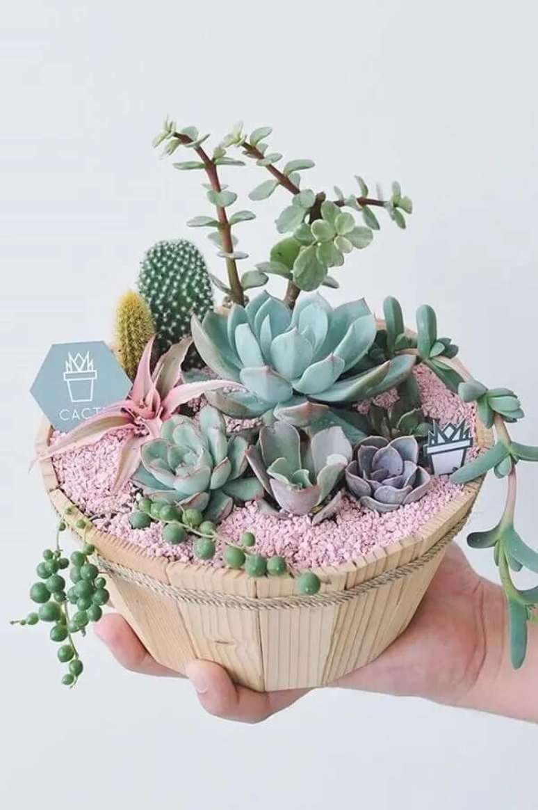17. Pedrinhas rosas trazem um toque delicado para os arranjos de suculentas naturais. Fonte &ndash; Arkpad