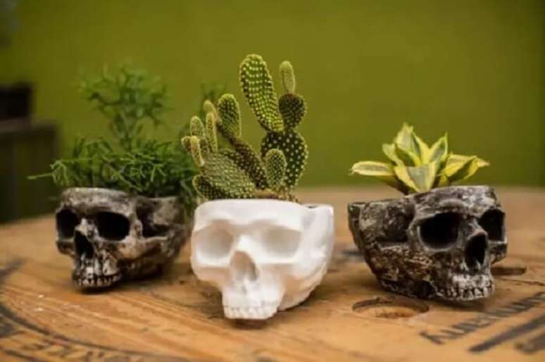 46. Arranjos de suculentas cultivados em vasos de caveira. Fonte &ndash; Bela Suculenta