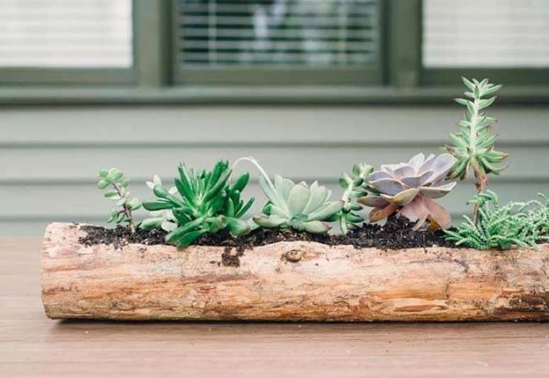 30. Arranjos de suculentas para o centro da mesa de jantar. Fonte &ndash; Decor F&aacute;cil