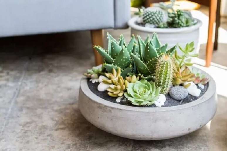 40. Arranjos de suculentas em vaso de cimento. Fonte &ndash; Fashion Bubbles