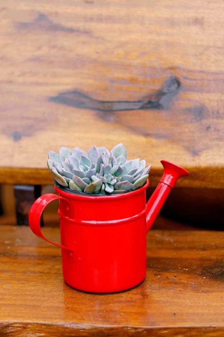 34. Arranjos de suculentas feito com regador. Fonte &ndash; Decor F&aacute;cil