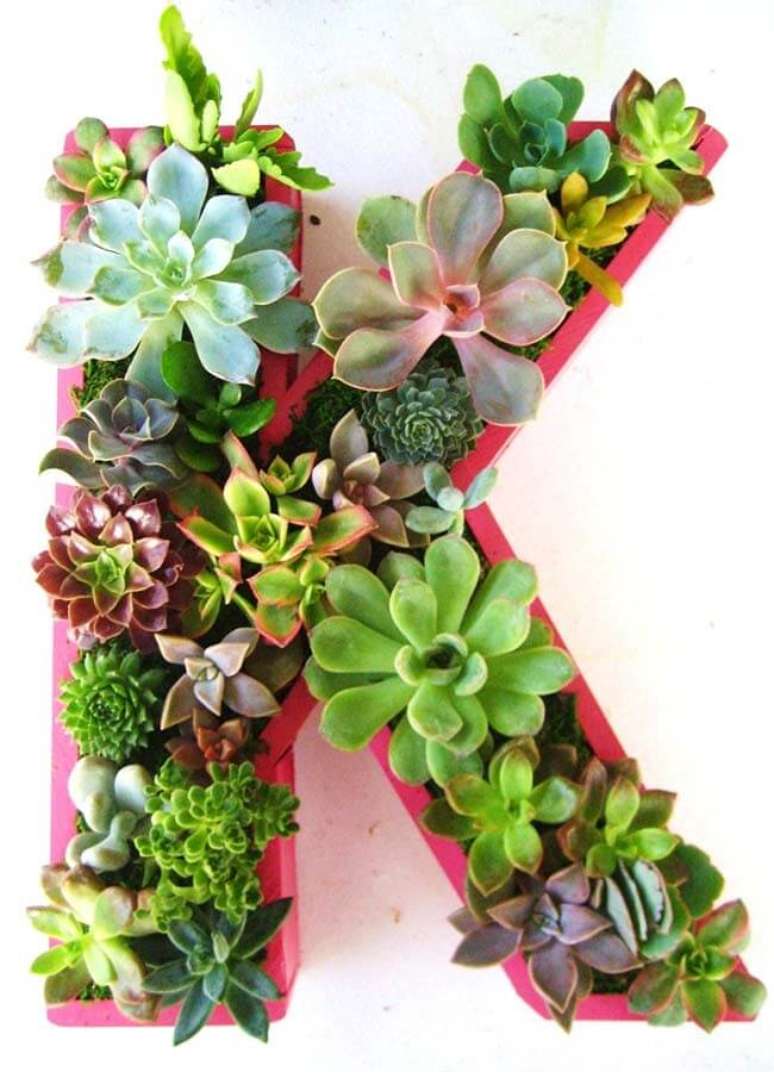 45. Arranjos de suculentas com a letra K. Fonte &ndash; Decor F&aacute;cil