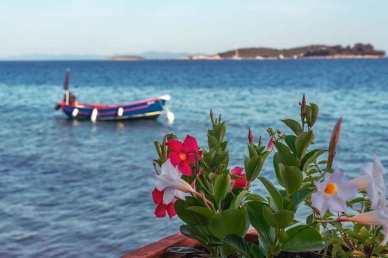 5. Dipladenia no jardim de casa – Foto iStock