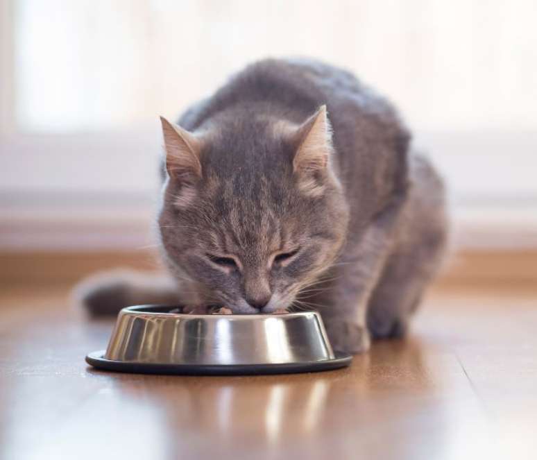 Uma das vantagens da comida natural é conter bastante água –