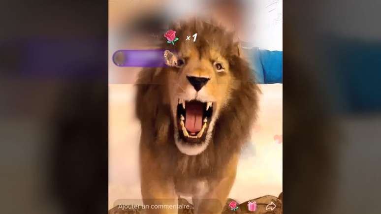 Os espectadores da transmissão ao vivo podem dar um leão virtual de presente por R$ 2.650