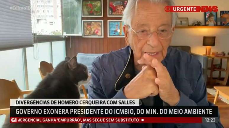 Gabeira e seu gato que roubou a cena em uma videochamada na GloboNews