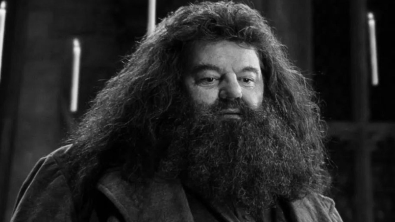 Hagrid robbie coltrane