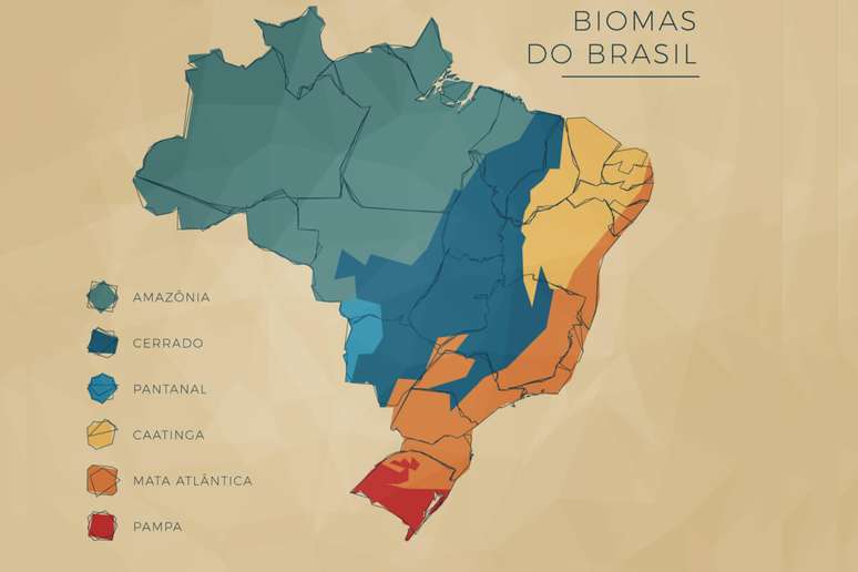 Vegeta&ccedil;&atilde;o do Brasil &eacute; rica e diversificada 
