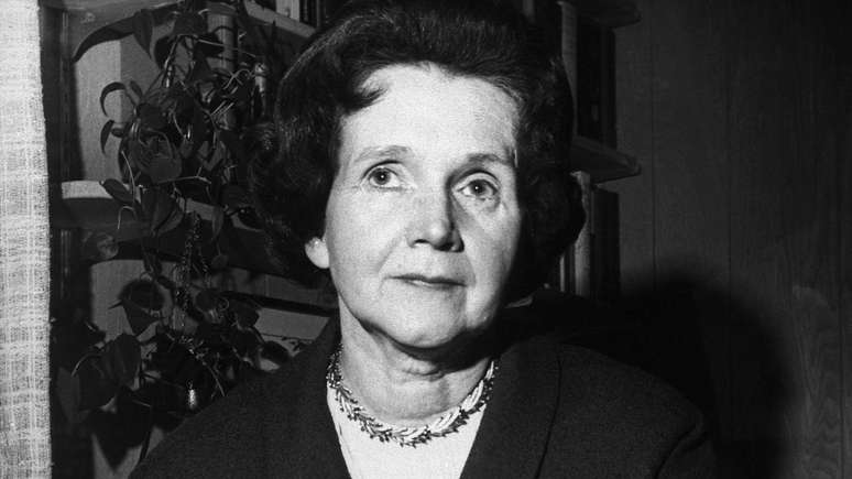 Rachel Carson publicou "Primavera Silenciosa" em 1962