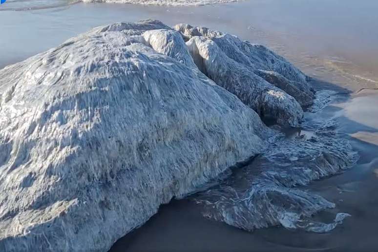 Suposto 'monstro marinho' é encontrado em decomposição em praia dos EUA