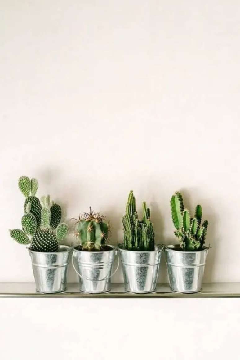 12. Vasos para cactos pequenos feitos com baldinhos de metal. Fonte &ndash; Depositphotos