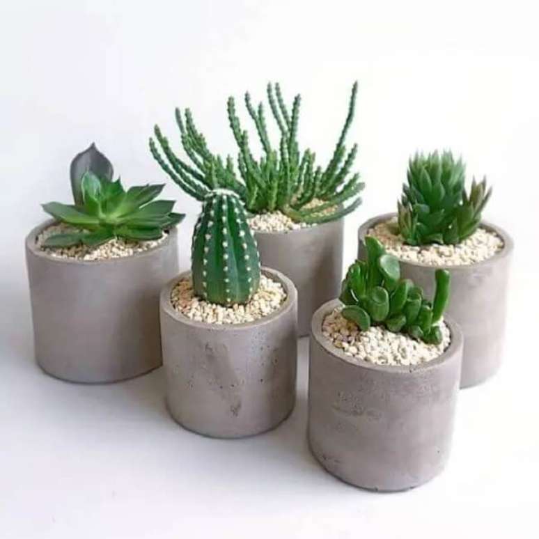 13. Vasos de concreto com planta cacto pequeno. Fonte &ndash; Aaroink Gardens