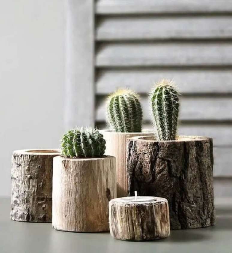 44. Cactos pequenos cultivados em tronco de &aacute;rvore. Fonte &ndash; Como Fazer em Casa