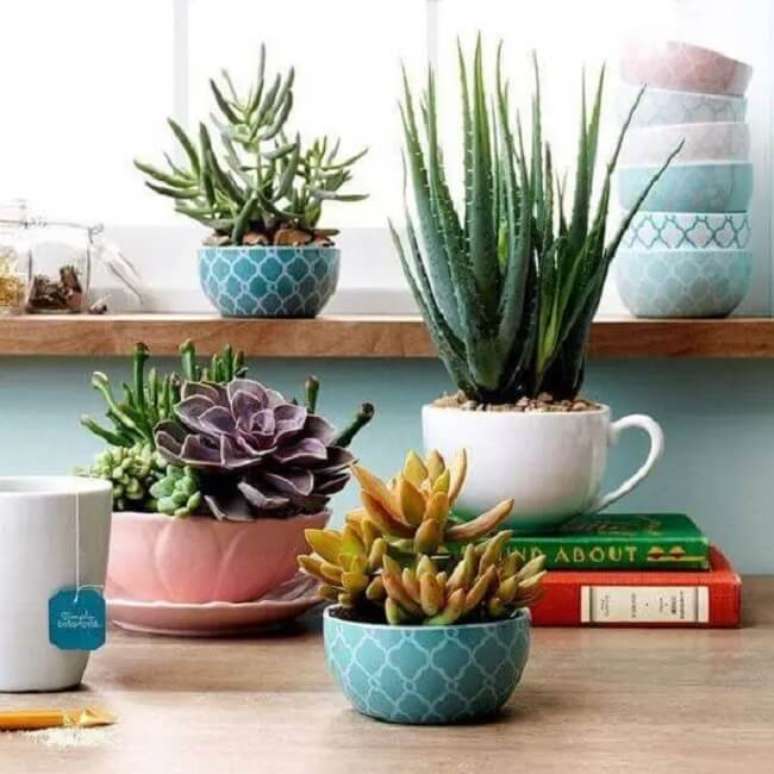 10. X&iacute;caras coloridas para cactos pequenos. Fonte &ndash; So Cute