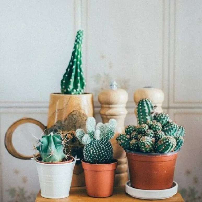 23. Os vasos para cactos pequenos podem decorar diferentes ambientes. Fonte &ndash; Madame Figaro