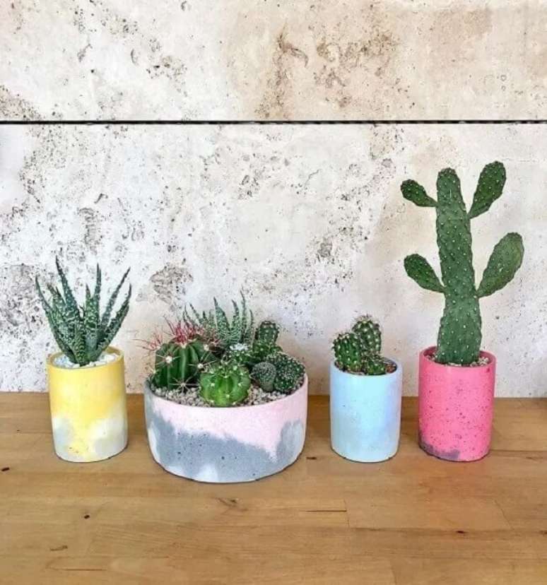 22. Recipientes criativos para diferentes tipos de cactos pequenos. Fonte &ndash; Getty Images Linda Burgess