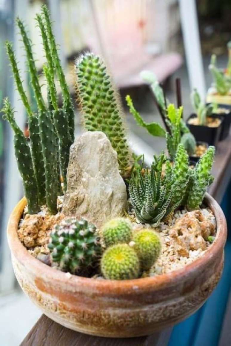 3. Vaso r&uacute;stico com cactos pequenos. Fonte &ndash; Society19
