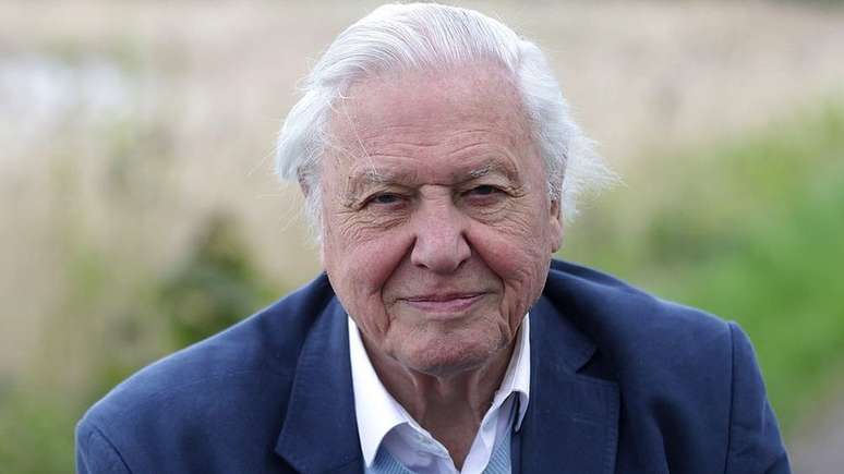 David Attenborough ganhou muitos pr&ecirc;mios por seus document&aacute;rios sobre a vida selvagem da BBC