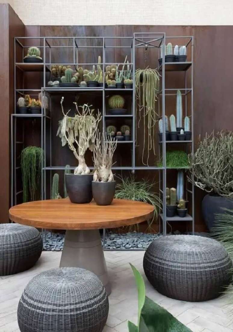 34. Cactos pequenos e grandes formam uma linda decora&ccedil;&atilde;o. Fonte &ndash; Sandra Moura