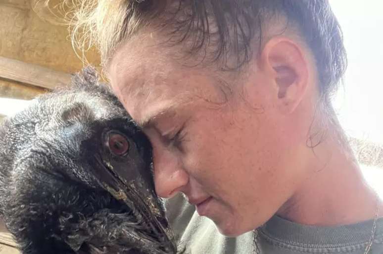 Fazendeira que aproximou rosto de emu foi infectada pelo vírus da gripe aviária