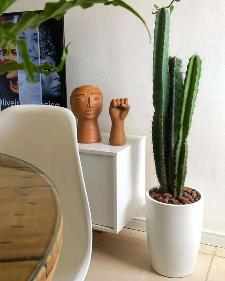 44. Cacto grande mandacaru cultivado em vaso branco. Fonte &ndash; Decor F&aacute;cil