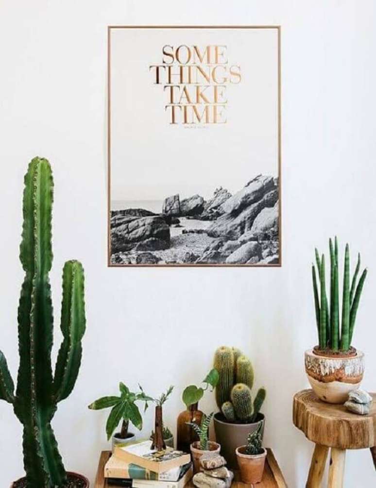 11. Vasos com cacto grande. Fonte &ndash; Cintia Mara Petronetto