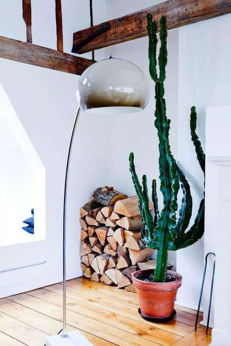35. Cactos grandes para decora&ccedil;&atilde;o. Fonte &ndash; Lolaf&aacute;