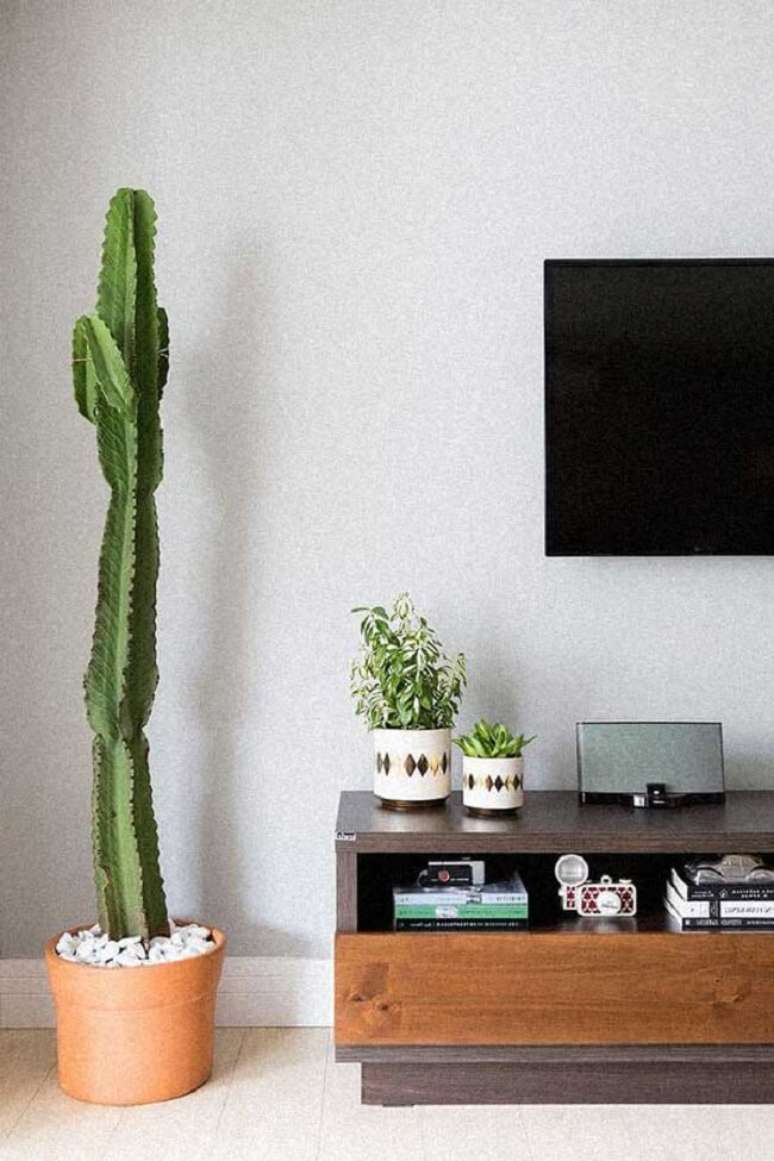 33. Vaso com cacto grande decora sala. Fonte &ndash; Sua Decora&ccedil;&atilde;o