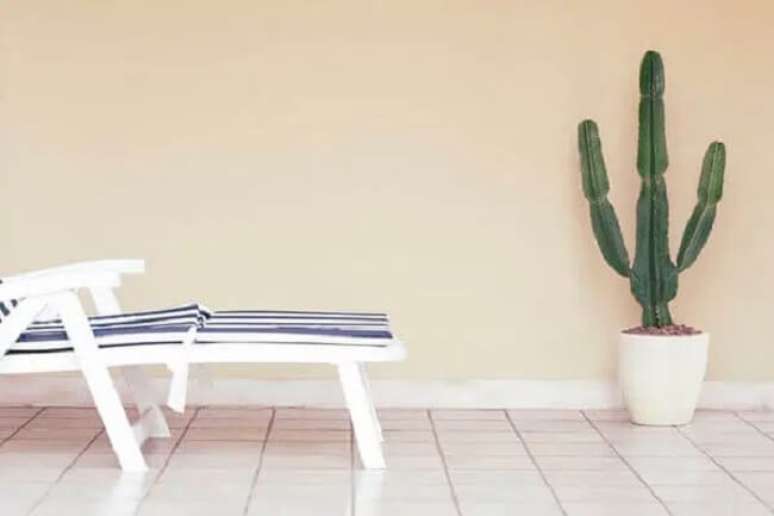 24. O cacto grande n&atilde;o precisa de regas constantes. Fonte &ndash; Maurizio Vele