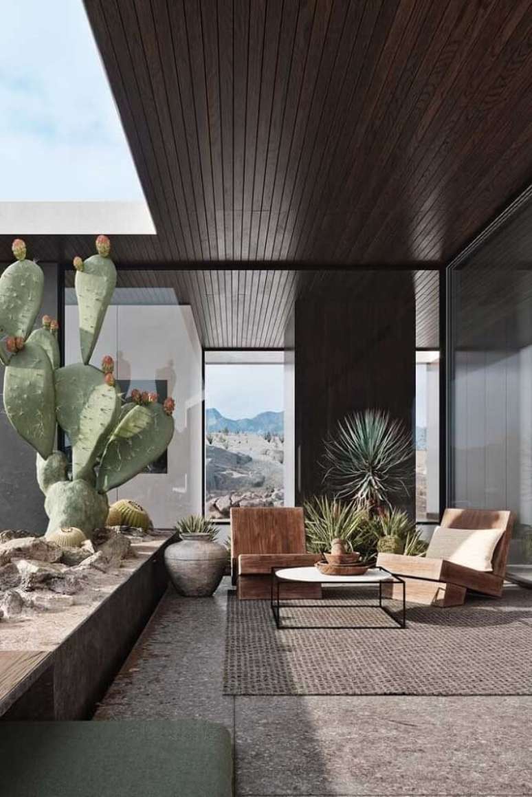 49. Aprenda como cuidar de cactos grandes. Fonte &ndash; Ideias Decor