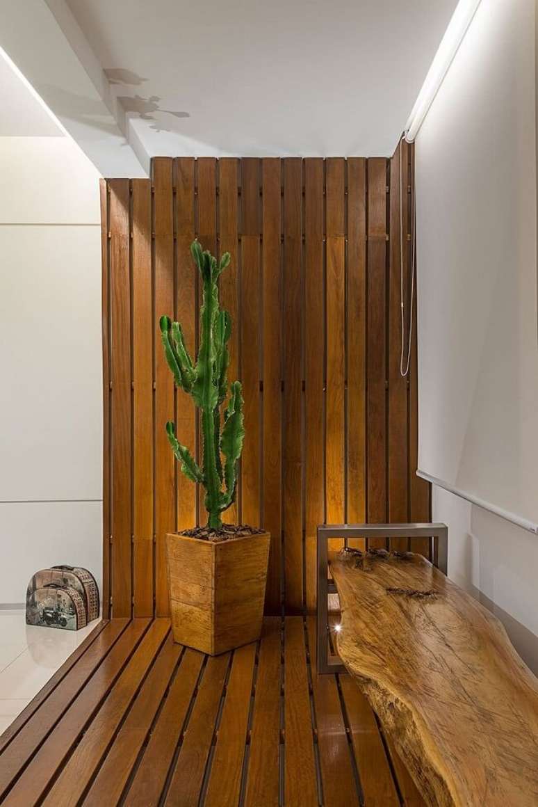 46. Banco de madeira e cactos grandes para decora&ccedil;&atilde;o. Fonte &ndash; Tudo Jardim