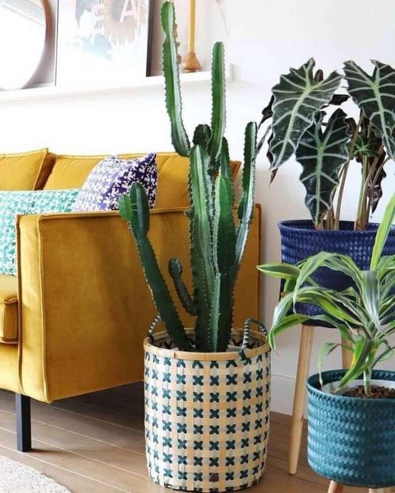 43. Cacto grande cultivados em vasos criativos. Fonte &ndash; Fashion Bubbles
