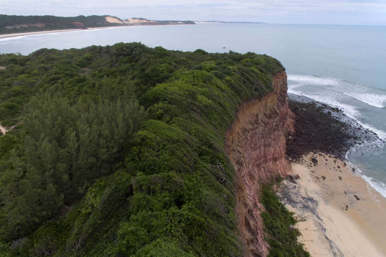 Vista aérea da falésia e da mata do Santuário Ecológico 