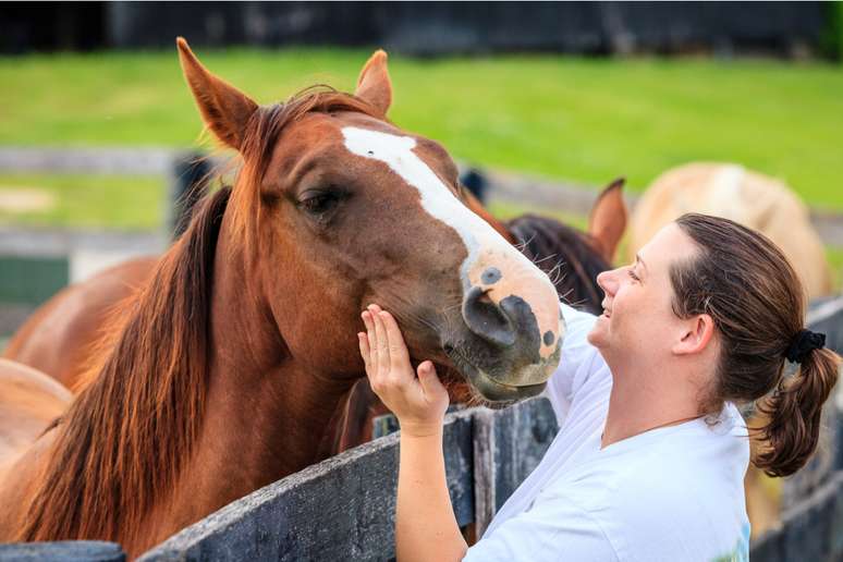 Saiba o que é necessário para ter um cavalo como animal de