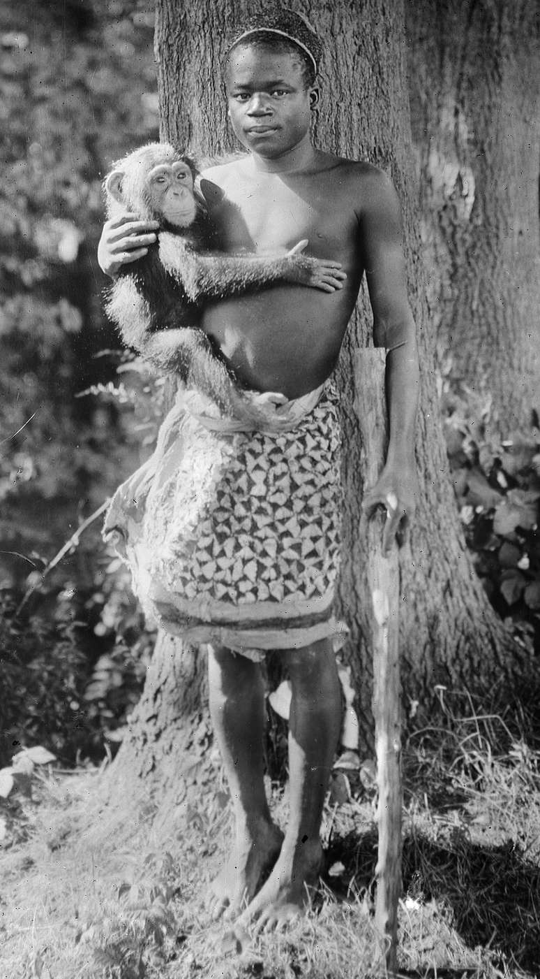 De acordo com uma placa do lado de fora da casa dos primatas, Oto Benga, de 23 anos, com 1,50 cm de altura e 47 kg, trazido do Rio Kasai, Estado Livre do Congo, na &Aacute;frica Central, pelo Dr. Samuel P. Verner, seria exibido 'todas as tardes durante o m&ecirc;s de setembro'