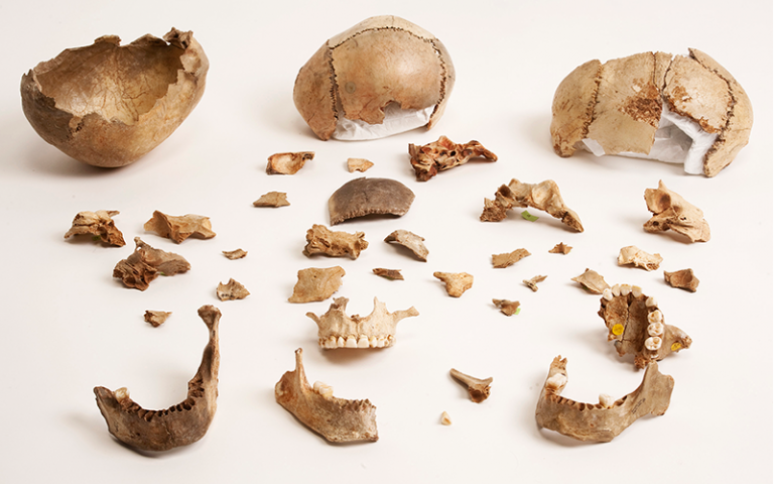 Restos de esqueleto humano encontrados na Caverna de Kendrick 