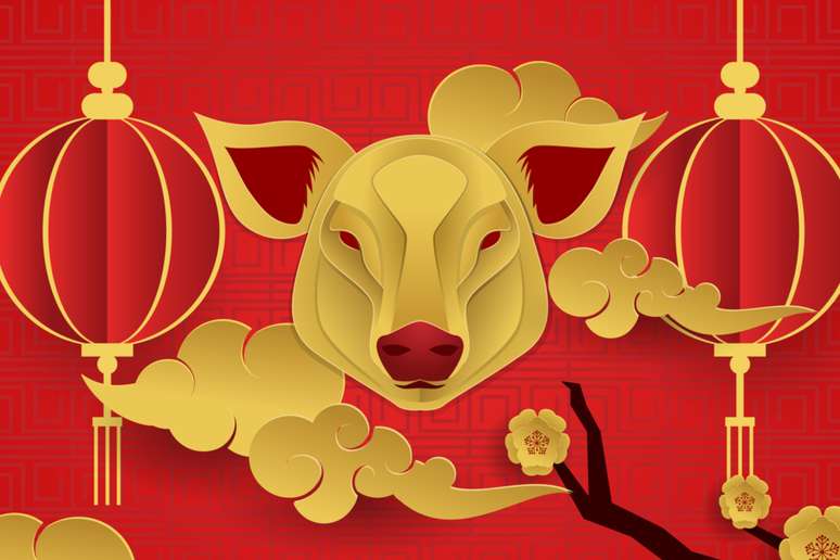 Pessoas do signo de Javali possuem personalidade forte 