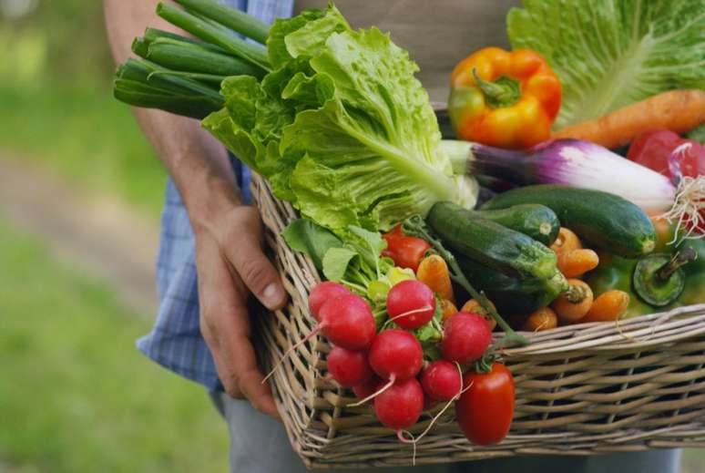 Confira o jeito certo de conservar verduras e legumes – Foto: Shutterstock