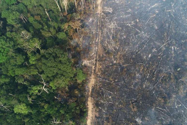 Queimadas na Amazônia podem impactar o clima em todo o Brasil