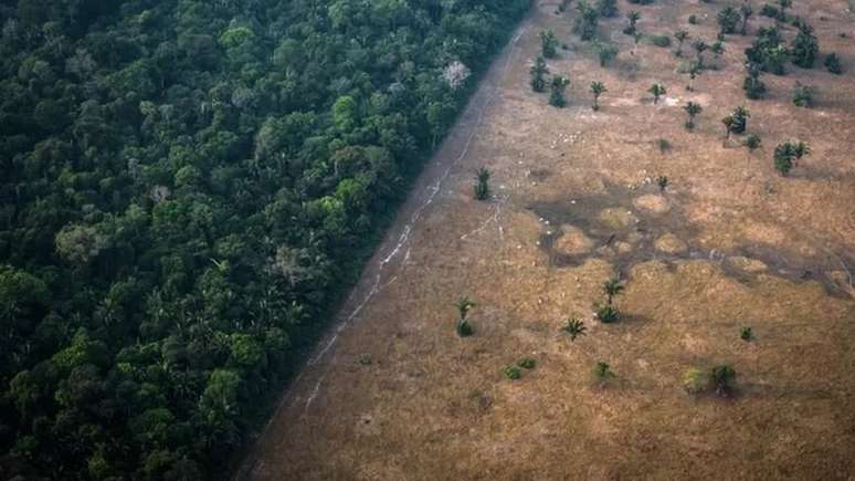 Taxa de desmatamento na Amazônia subiu nos últimos três anos