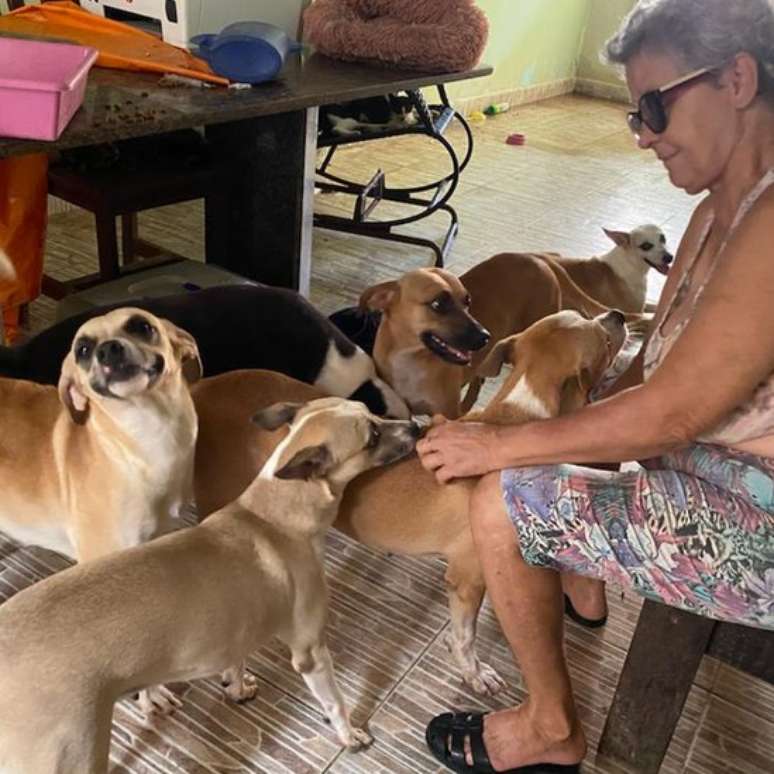 Protetores muitas vezes comprometem a pr&oacute;pria sa&uacute;de para cuidar dos animais