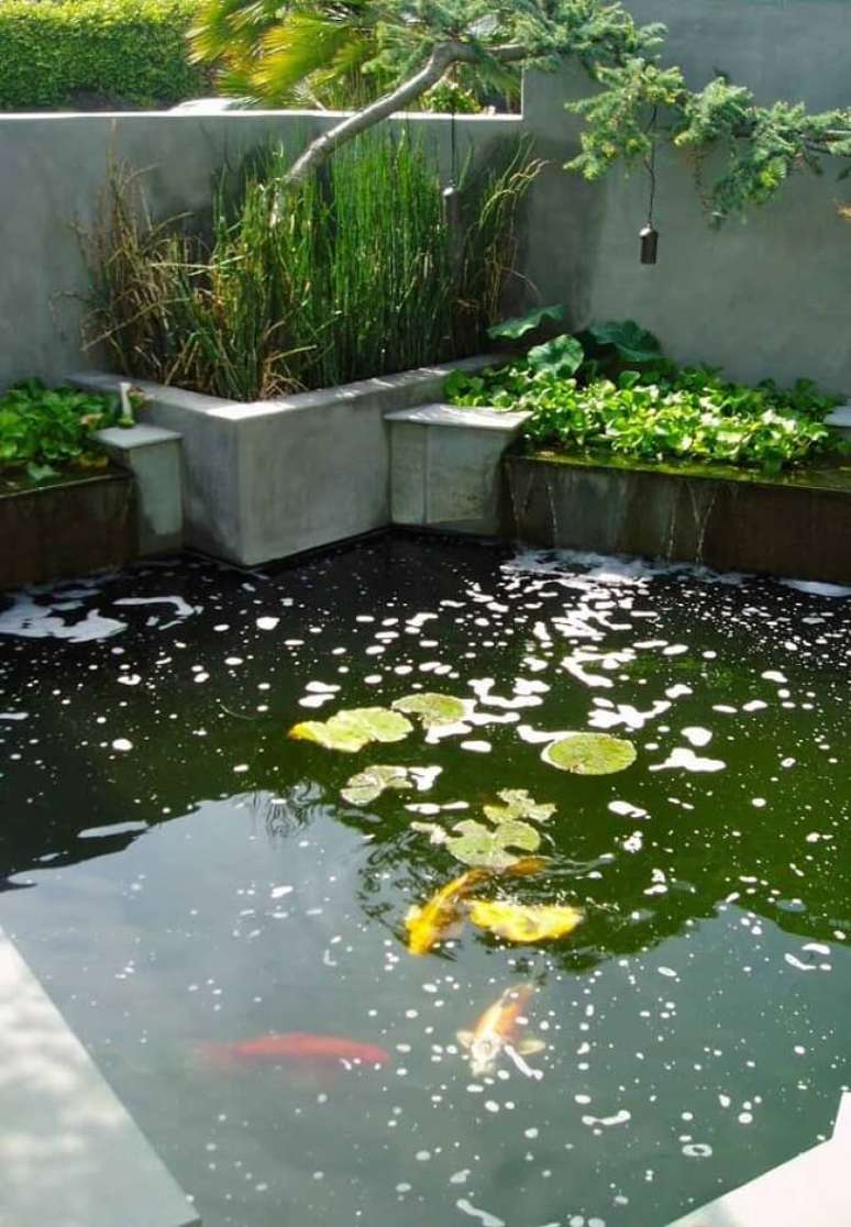 56. Crie carpas dentro do seu lago ornamental. Fonte &ndash; Decor F&aacute;cil