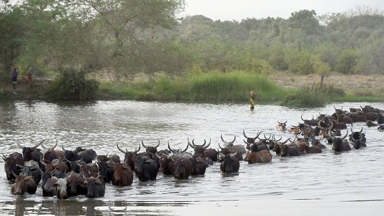 Lago Chade, na fronteira entre Chade, Camar&otilde;es, Nig&eacute;ria e Niger. Algumas &aacute;reas &agrave;s margens do lago s&atilde;o palco de atividades do grupo Boko Haram