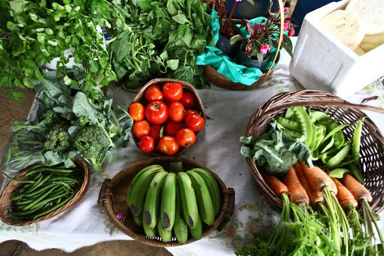 Produção de frutas e legumes no entorno da Billings